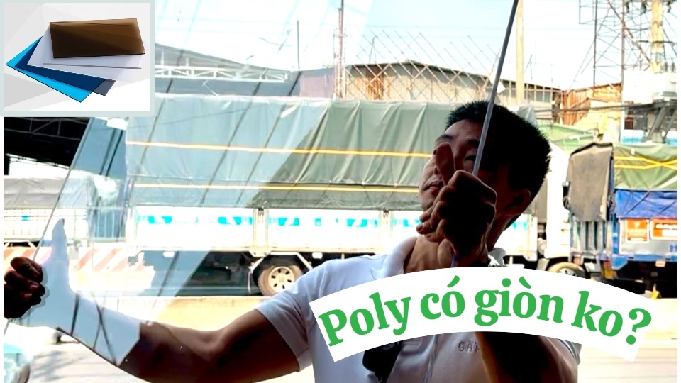 Họ Nói Tấm Poly Giòn Lắm?