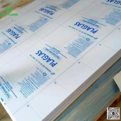 Tấm tản sáng Hàn Quốc bán chạy nhất tại Hiệp Thành